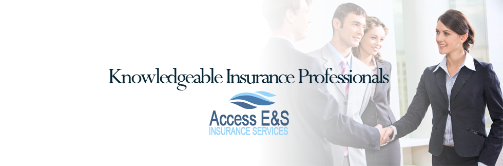 E&amp;S Insurance / Snl Data Dispatch Q1 Statutory Market